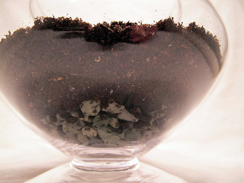 terrarium-layers