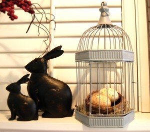 bunnies and birdcage bunnies and birdcage