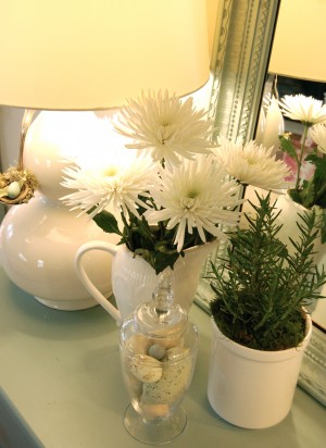 decorating with plants