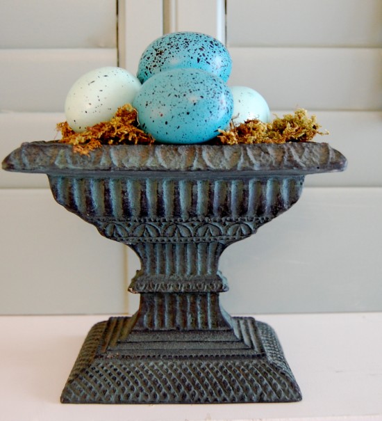 eggs