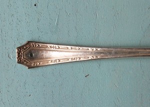 spoon spoon