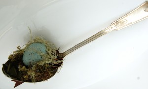how to make a nesting spoon