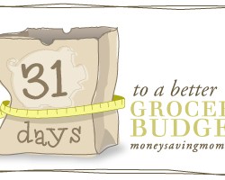 grocery_budget_lg2 grocery_budget_lg2