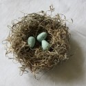 Thumbnail image for Giveaway Day :: The Shabby Chic Cottage