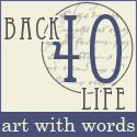 back 40