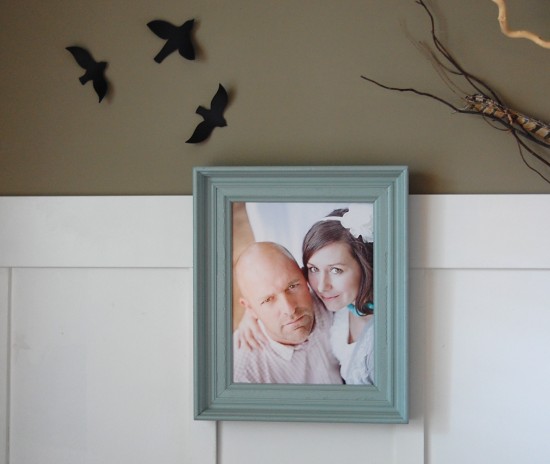 Amber Herlocker Photography