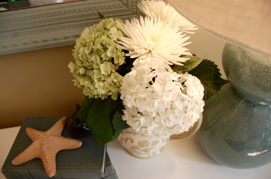 hydrangea