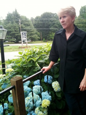 hydrangea tales