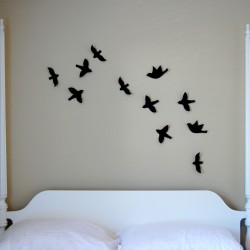 birds birds