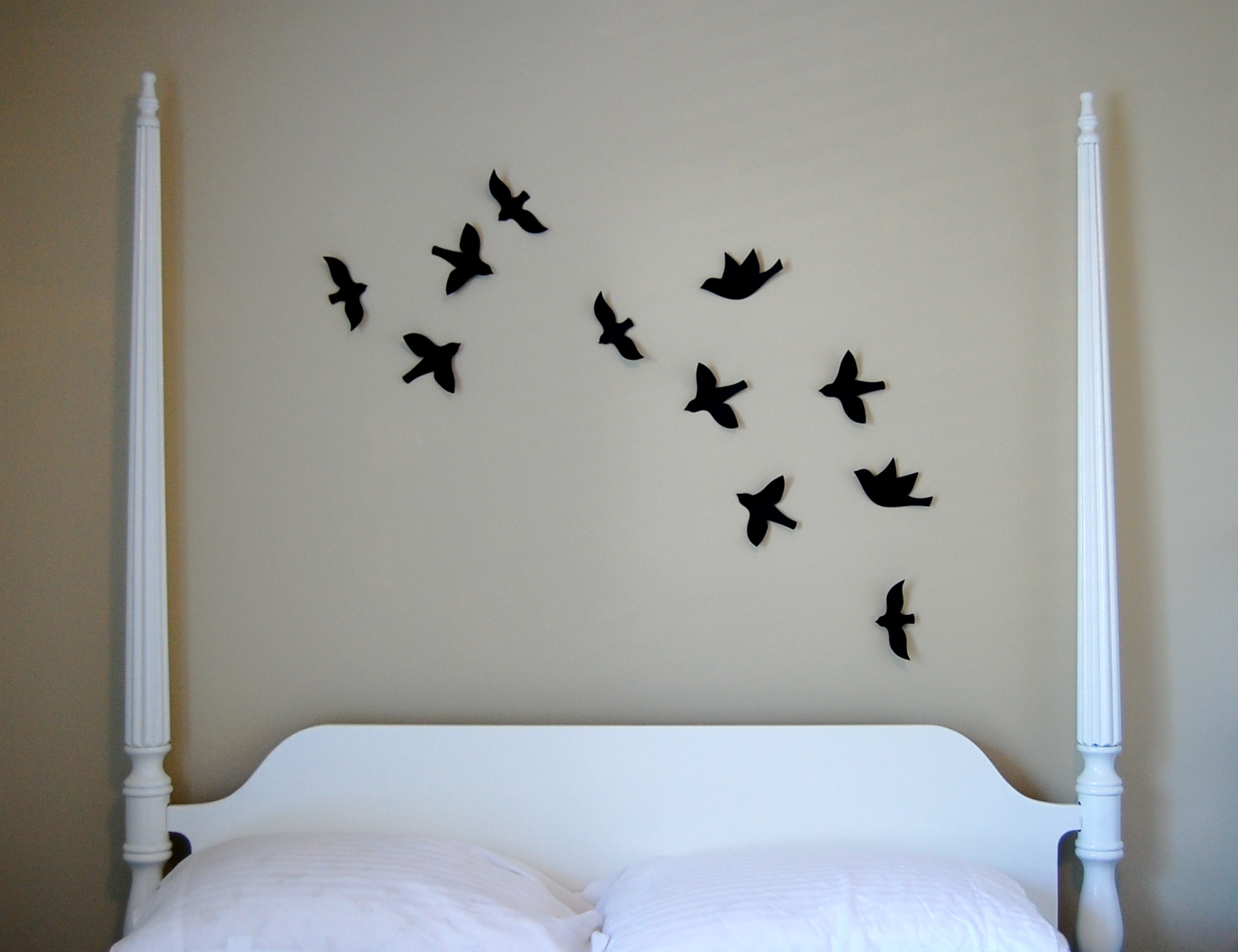 birds
