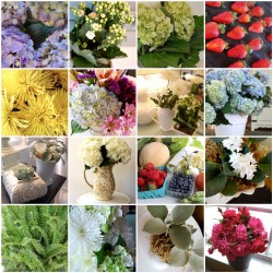 mosaice3ba13fd6a0012f80742548ef5babc38cde548d5 mosaice3ba13fd6a0012f80742548ef5babc38cde548d5