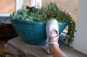 my foot at the cottage my foot at the cottage