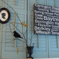 DSC_0205 DSC_0205