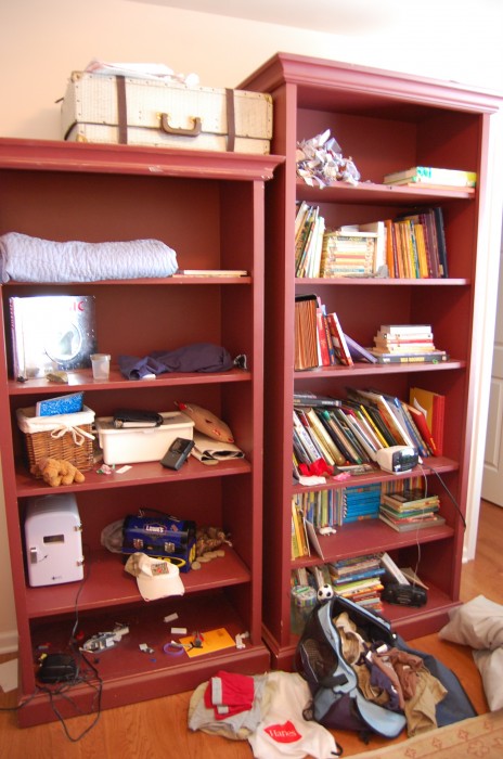 DSC_shelf
