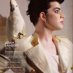 adam lambert adam lambert