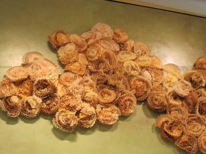 coffee filter flowers