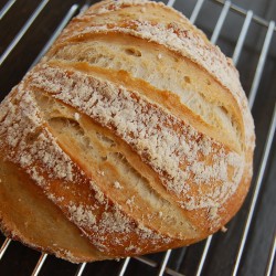 homemade bread