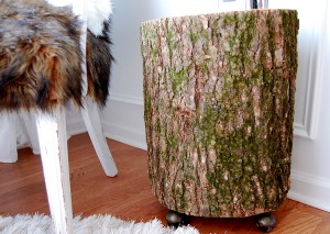 bark stump