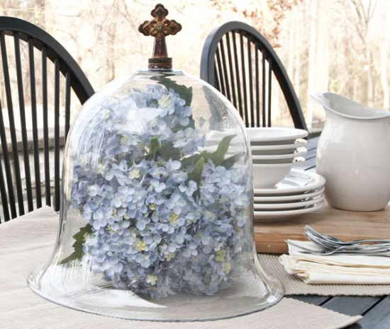 cloche/bell jar/glass dome