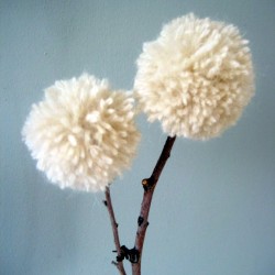 022610dandelions01