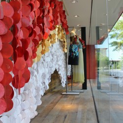 anthropologie windows