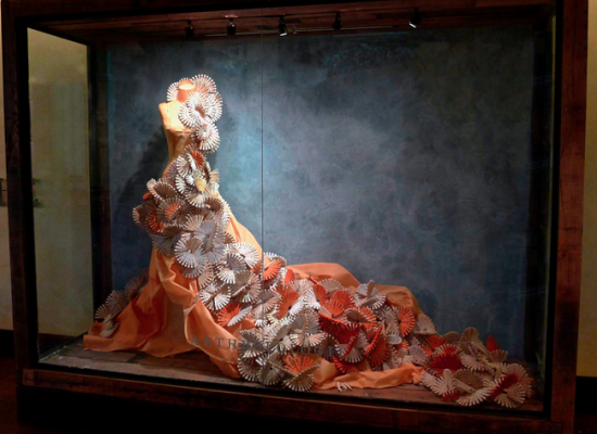 anthropologie