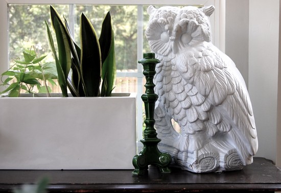 weird creepy owl I bought