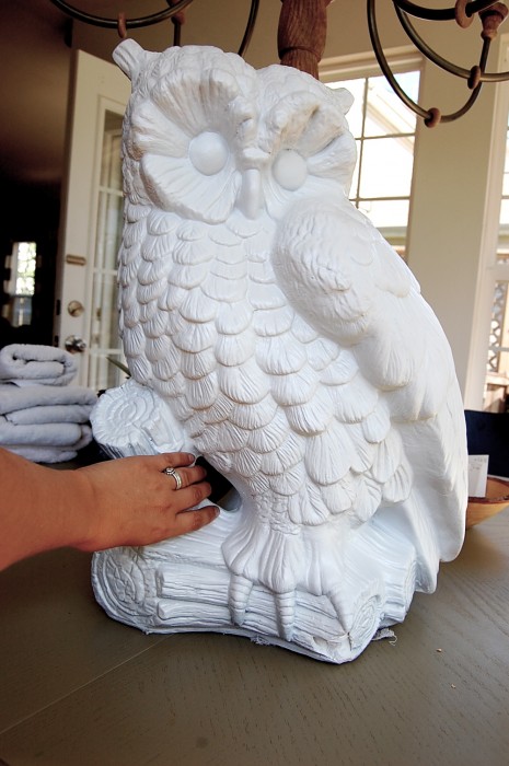 huge weird creepy ugly owl