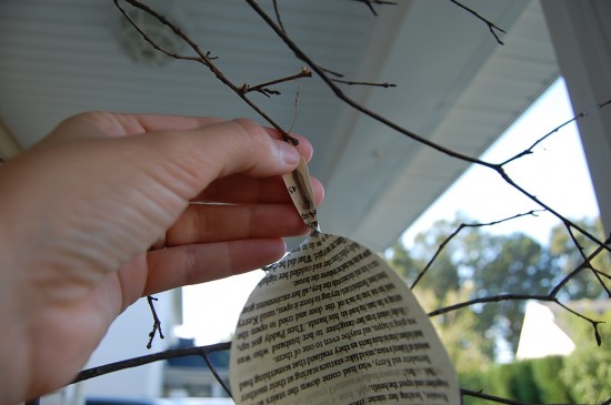 leaf