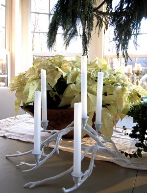 branch candlestick