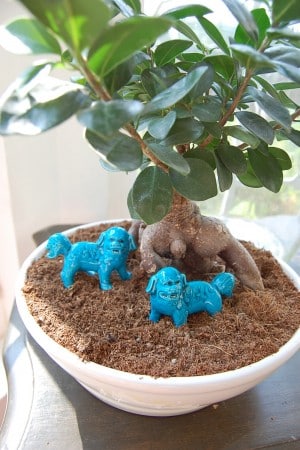 bonsai with foo dogs