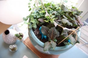 planter