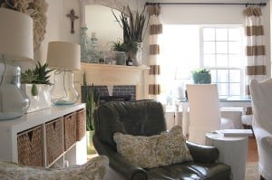 houseplants easy