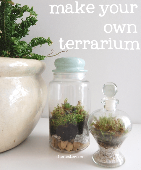 how to make a terrarium terarrium