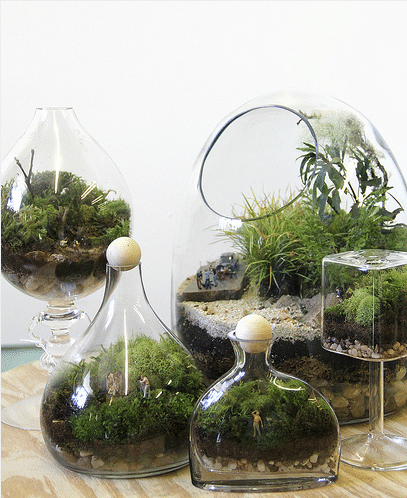 easy terrarium