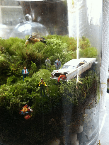 how to create a terrarium