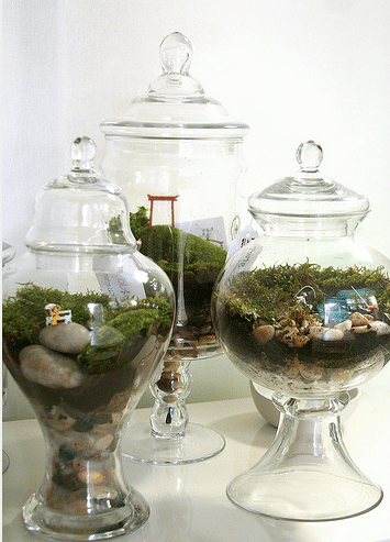 tiny terrarium scene