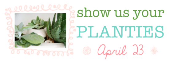 plant linky party