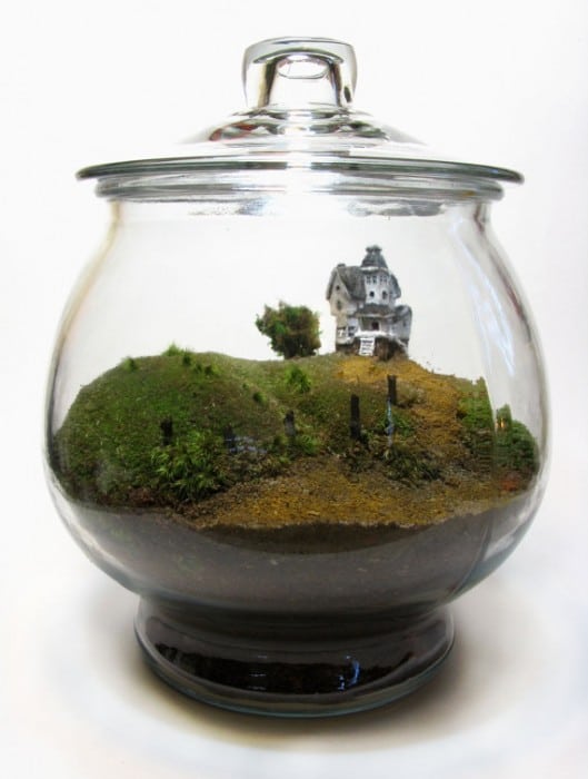 tiny terrarium