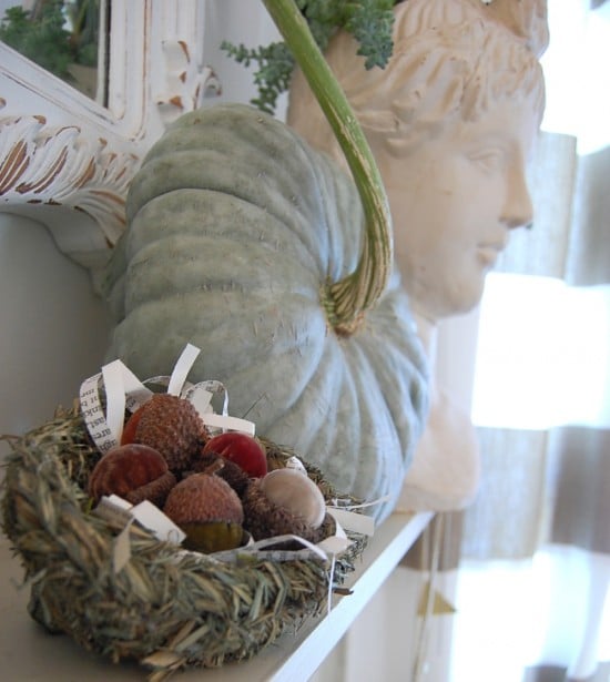 velvet acorns
