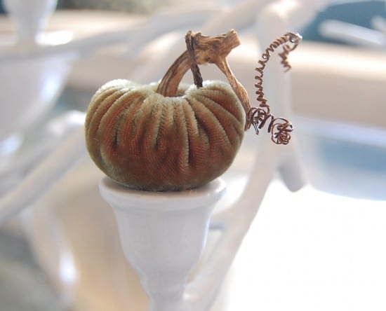 tiny pumpkin