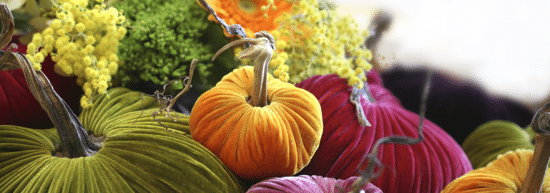 velvet pumpkins