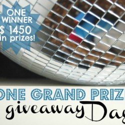One Grand Prize Winner Giveaway Day // Nesting Place
