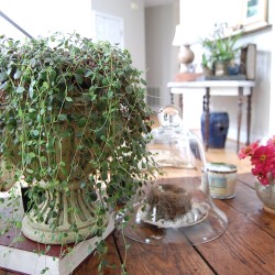home tour