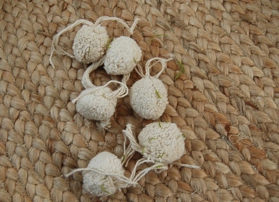 pom poms