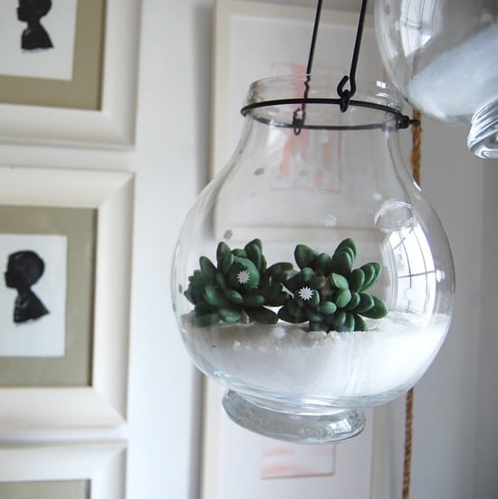 snow terrarium and lantern
