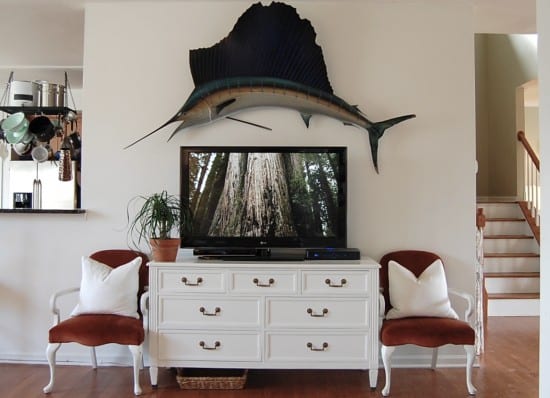 marlin