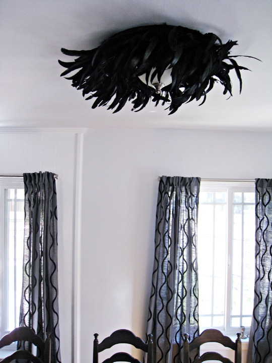 feather ceiling light