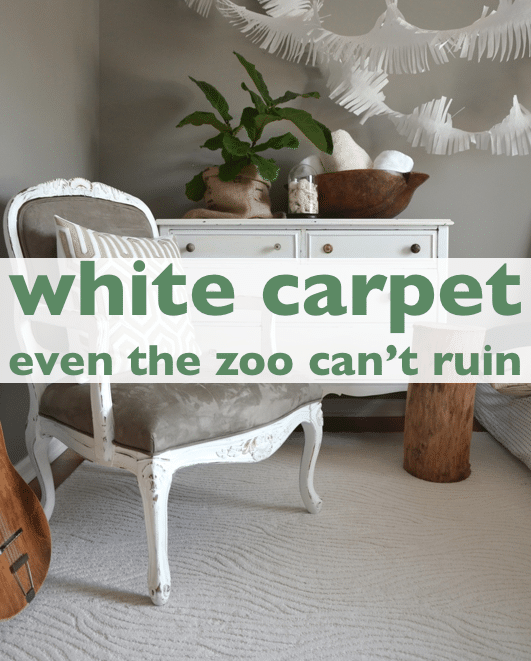white carpet