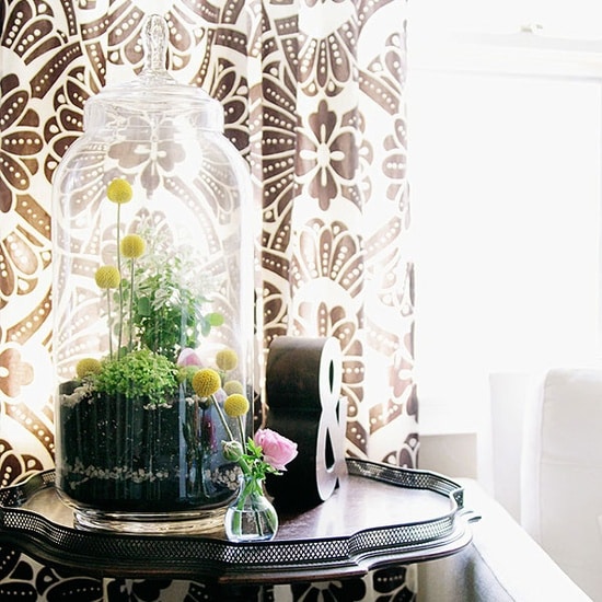terrarium